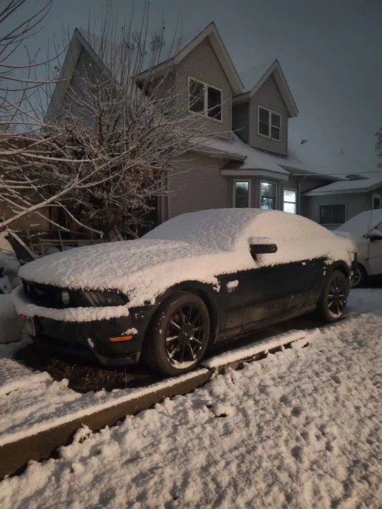 2010 Ford S197 Mustang - Image 3 of 3