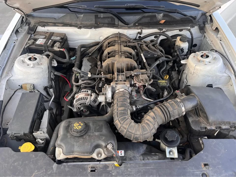 2010 Ford S197 Mustang - Image 12 of 13