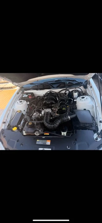 2010 Ford S197 Mustang - Image 8 of 9