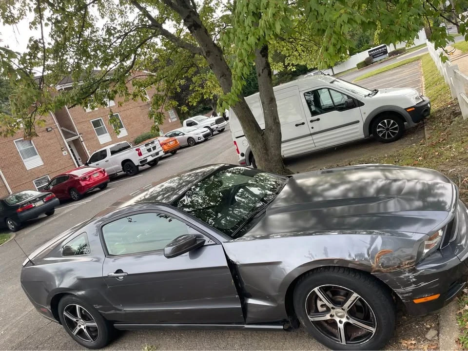 2010 Ford S197 Mustang - Image 3 of 5
