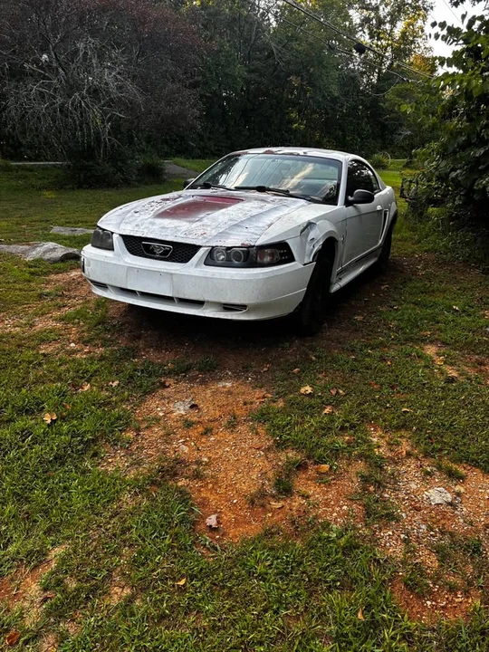 2010 Ford S197 Mustang - Image 4 of 4