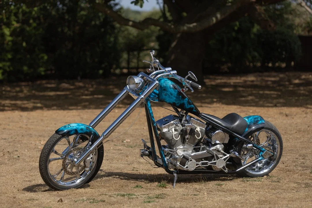 2010 Harley-Davidson Shovelhead - Image 24 of 30