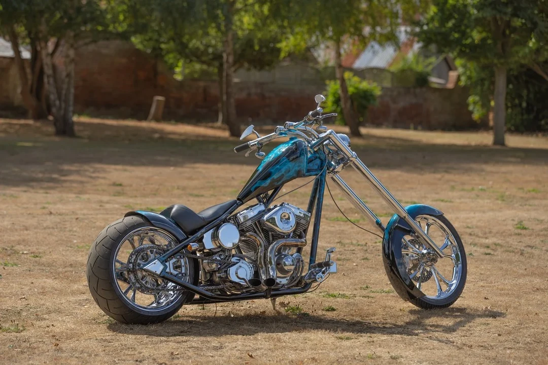 2010 Harley-Davidson Shovelhead - Image 27 of 30