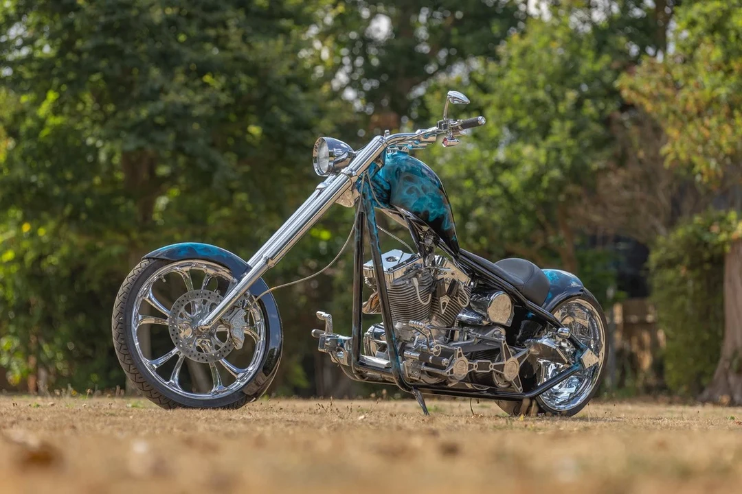 2010 Harley-Davidson Shovelhead - Image 18 of 30