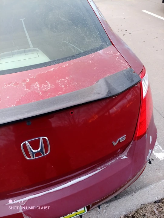 2010 Honda Accord 8th Gen - Image 12 of 17