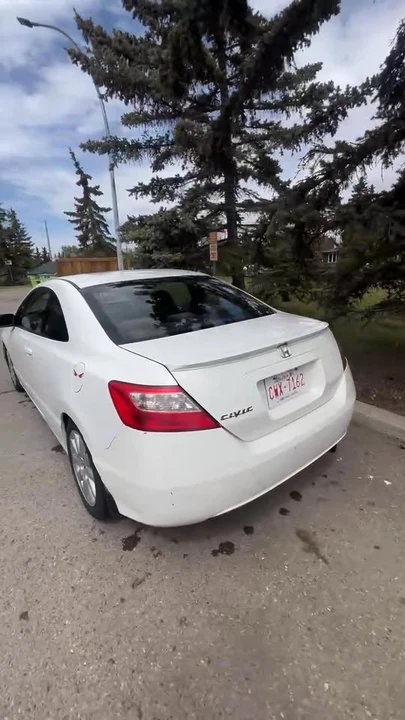 2010 Honda Civic 8th Gen - Image 8 of 8