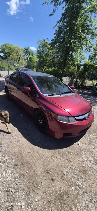 2010 Honda Civic 8th Gen - Image 11 of 12