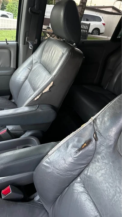 2010 Honda Odyssey - Image 8 of 12