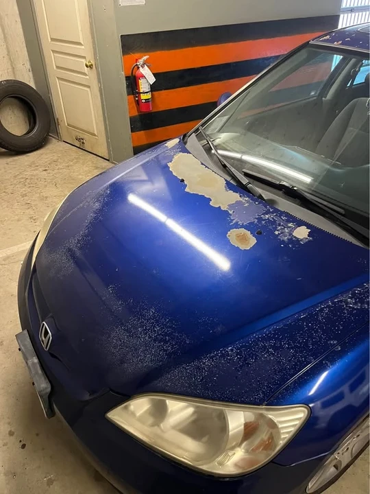 2010 Honda Civic 8th Gen - Image 6 of 10