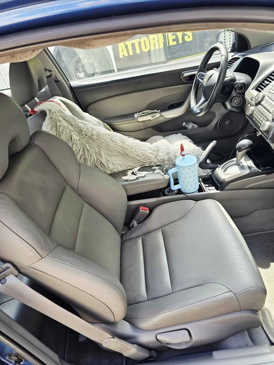2010 Honda Civic 8th Gen - Image 5 of 6