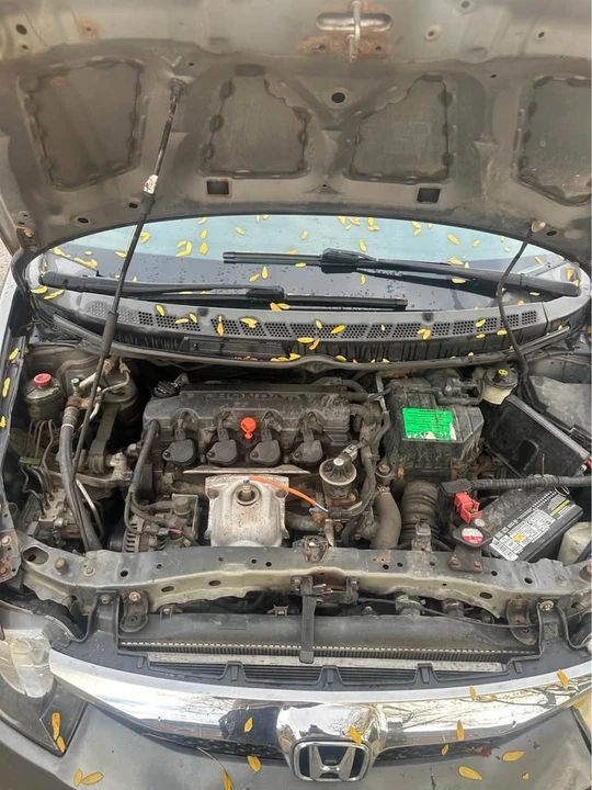 2010 Honda Civic 8th Gen - Image 6 of 6
