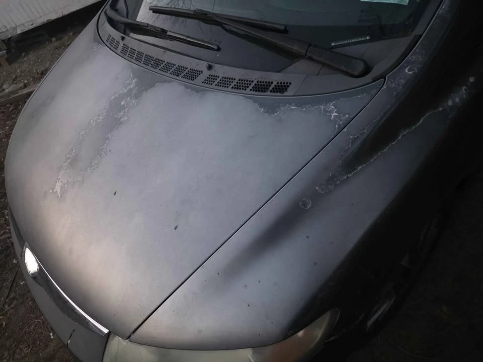 2010 Honda Civic 8th Gen - Image 11 of 12