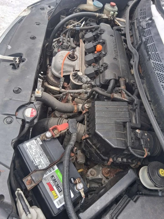 2010 Honda Civic 8th Gen - Image 9 of 10