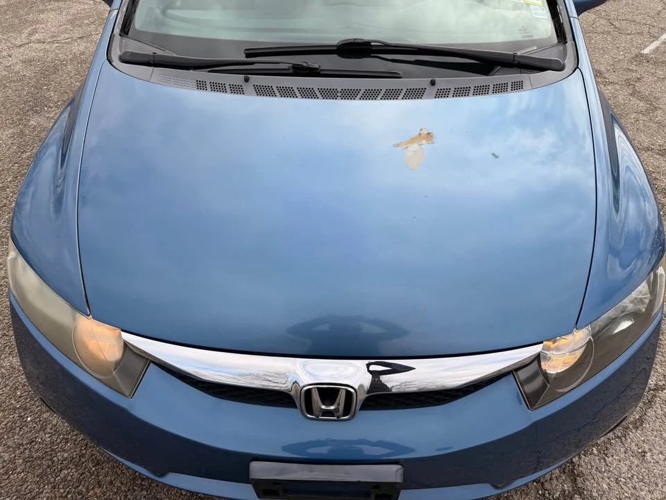 2010 Honda Civic 8th Gen - Image 6 of 11