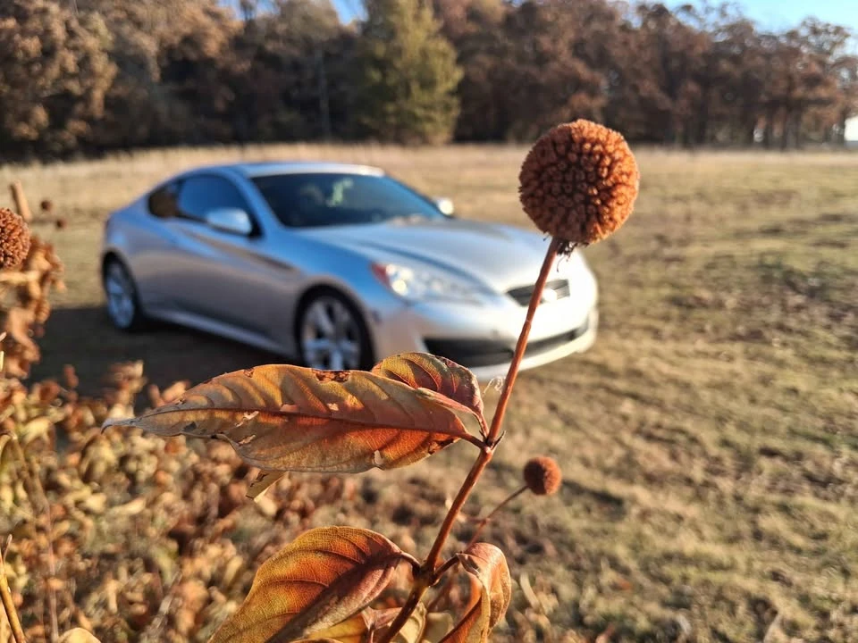 2010 Hyundai Genesis Coupe - Image 11 of 14