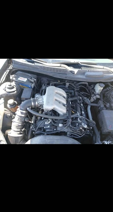 2010 Hyundai Genesis Coupe - Image 7 of 7