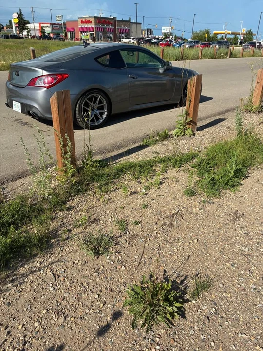 2010 Hyundai Genesis Coupe - Image 3 of 4