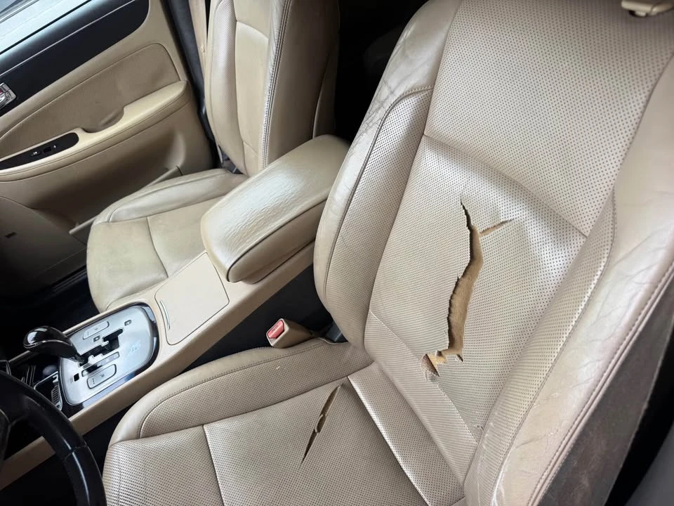 2010 Hyundai Genesis - Image 9 of 11