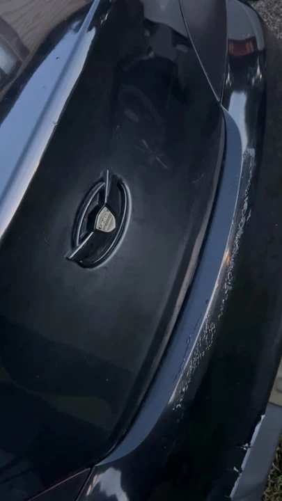 2010 Hyundai Genesis Coupe - Image 10 of 12