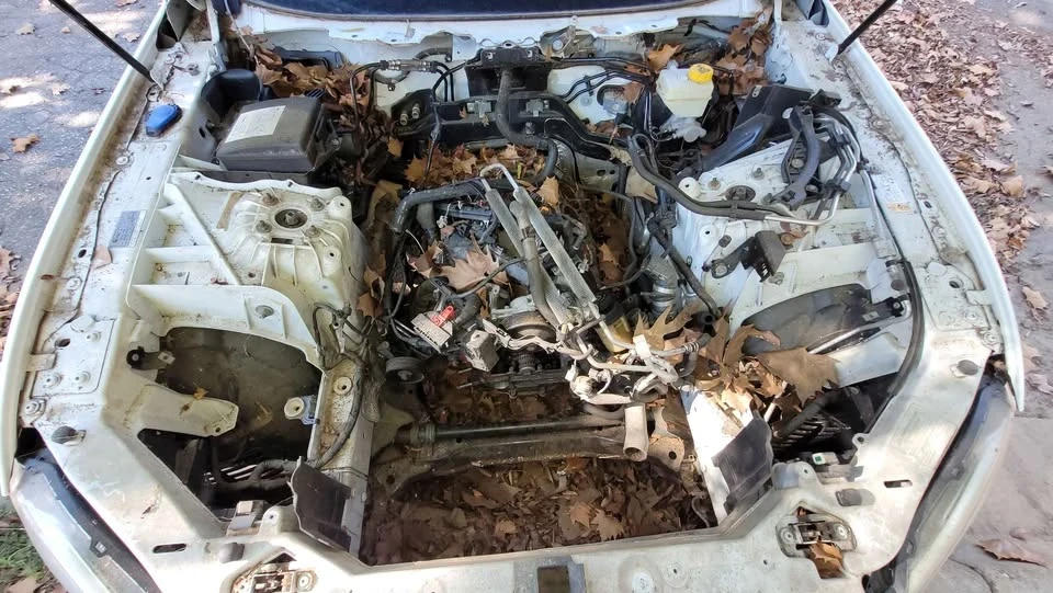 2010 Jaguar X351 XJ - Image 9 of 11