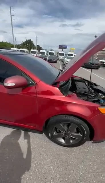 2010 Kia Forte - Image 14 of 14
