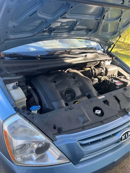 2010 Kia Carnival - Image 8 of 14