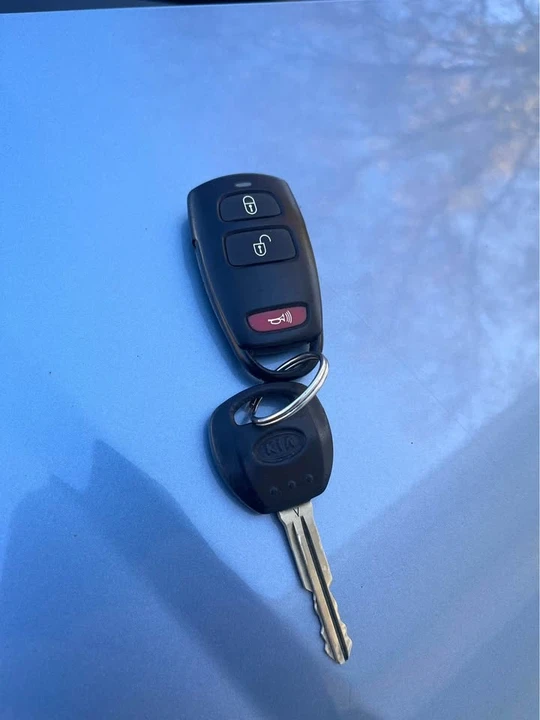 2010 Kia Carnival - Image 14 of 14
