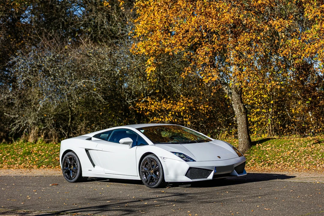 2010 Lamborghini Gallardo LP560-4 - Image 21 of 21