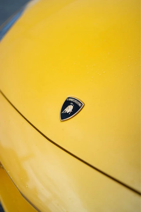 2010 Lamborghini Gallardo - Image 7 of 20