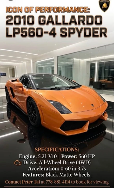 2010 Lamborghini Gallardo - Image 6 of 6