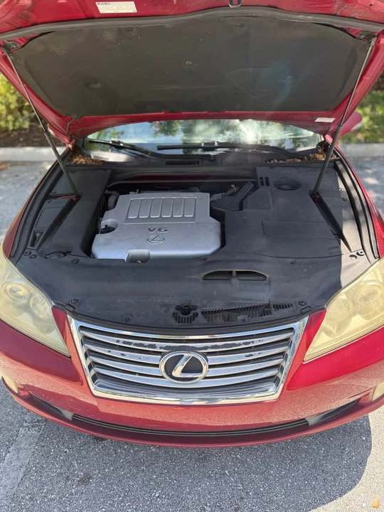 2010 Lexus ES 5th Gen - Image 10 of 10