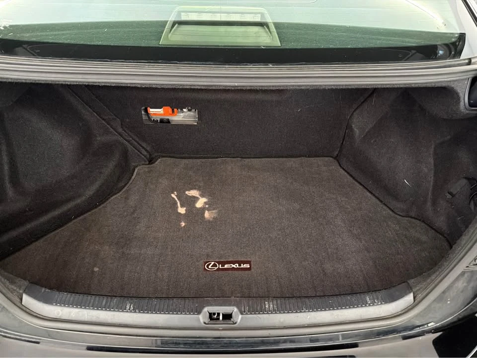 2010 Lexus HS - Image 10 of 12