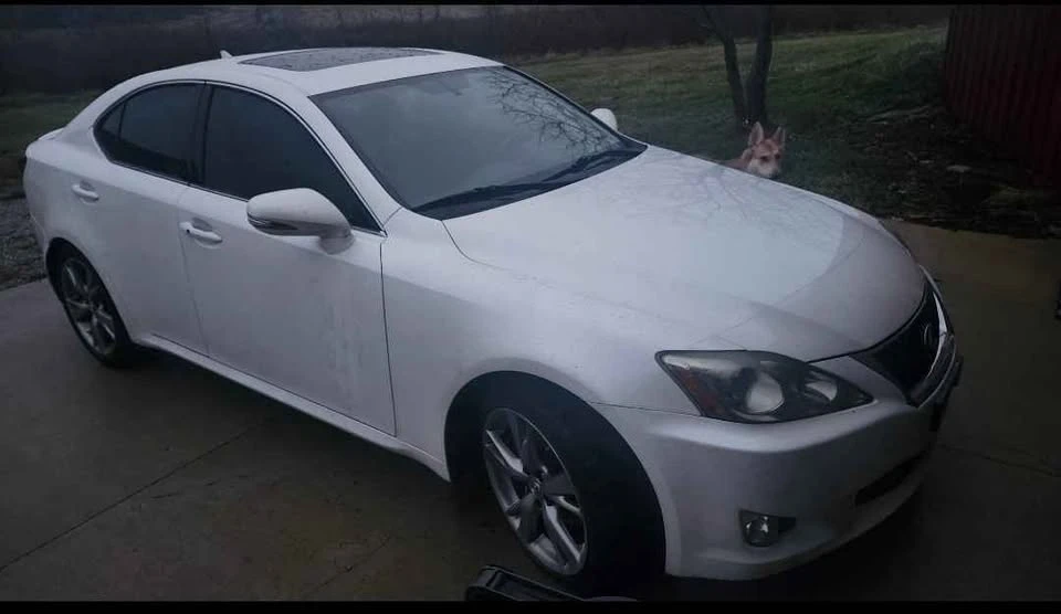 2010 Lexus IS 2nd Gen - Image 4 of 4