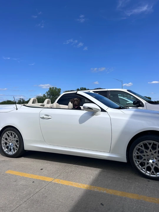 2010 Lexus IS 2nd Gen - Image 8 of 12