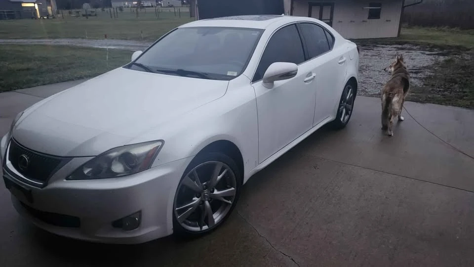 2010 Lexus IS 2nd Gen - Image 6 of 6