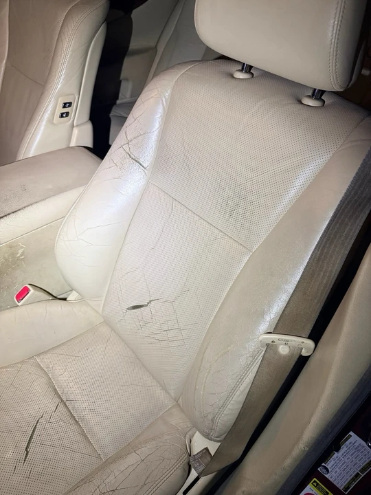 2010 Lexus LS 4th Gen - Image 19 of 23