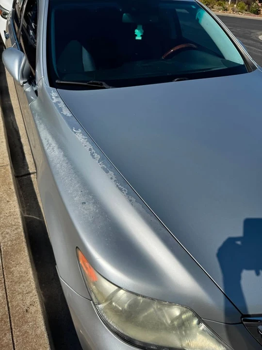 2010 Lexus LS 4th Gen - Image 11 of 11