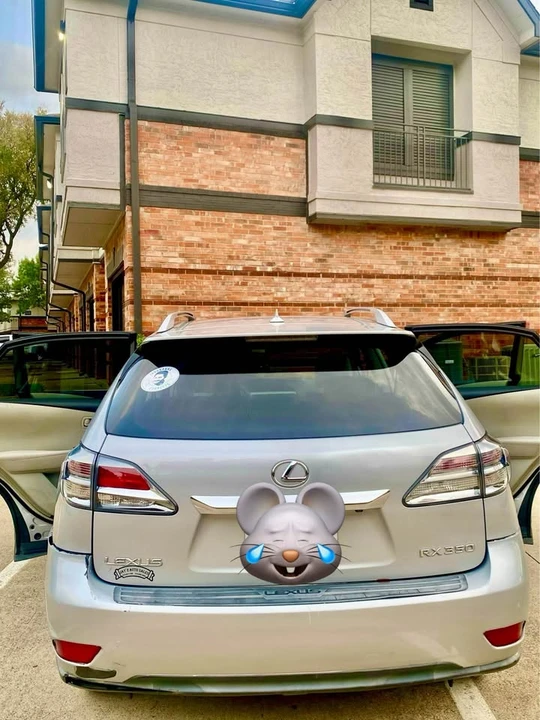 2010 Lexus RX 3rd Gen - Image 6 of 7