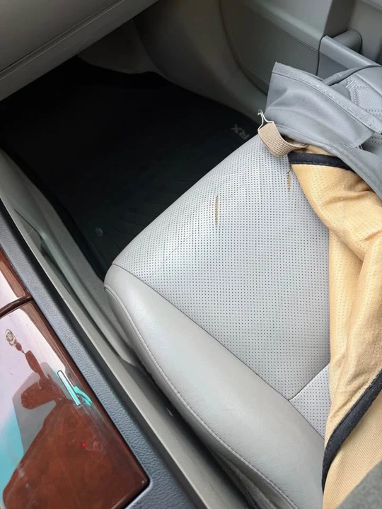 2010 Lexus RX 3rd Gen - Image 16 of 16