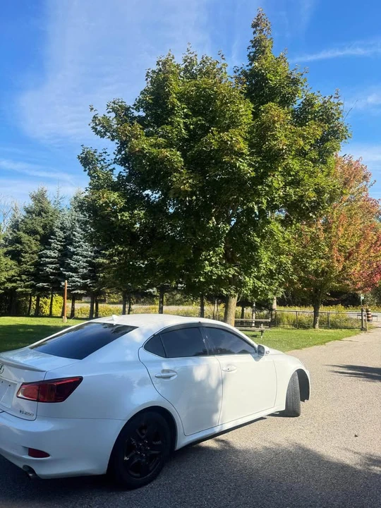2010 Lexus IS 2nd Gen - Image 3 of 11