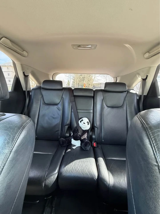 2010 Lexus RX 3rd Gen - Image 14 of 14