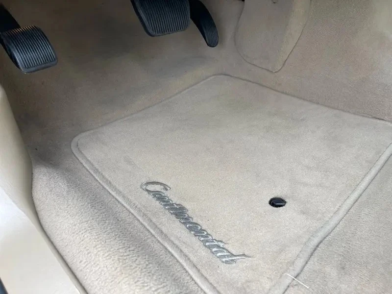 2010 Lincoln Town Car - Image 28 of 31