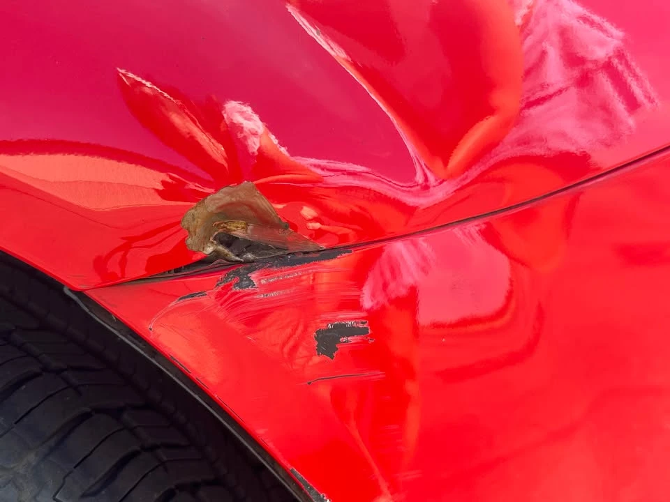 2010 Mazda NC MX-5 Miata - Image 6 of 6
