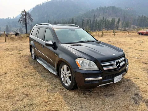 2010 Mercedes-Benz GL 350 BlueTEC