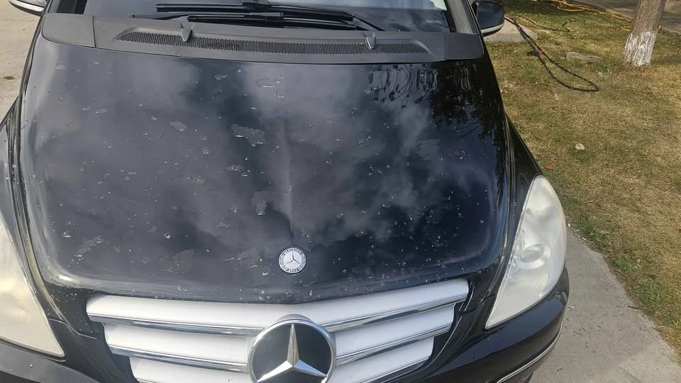 2010 Mercedes-Benz W245 B-Class - Image 14 of 14