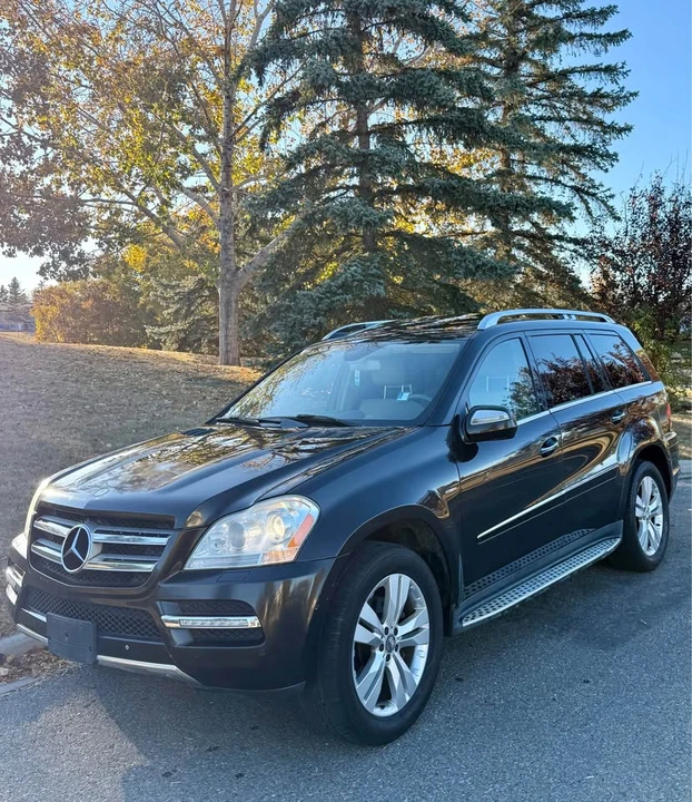 2010 Mercedes-Benz X164 GL-Class - Image 2 of 10