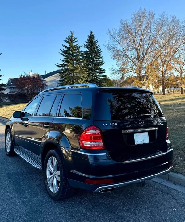2010 Mercedes-Benz X164 GL-Class - Image 3 of 10