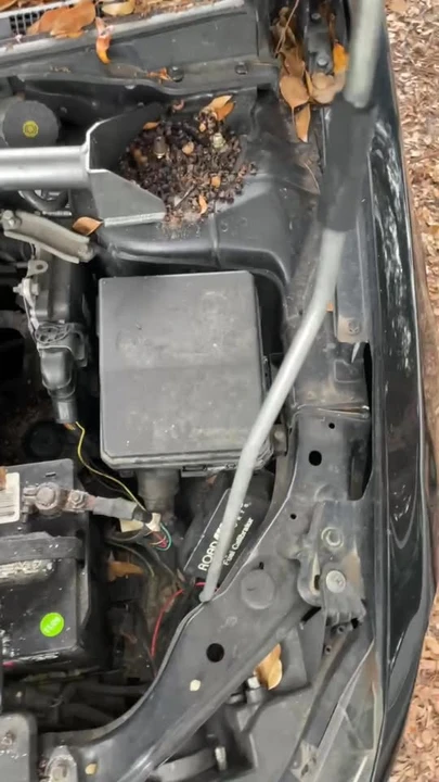 2010 Mitsubishi Lancer 9th Gen - Image 11 of 11