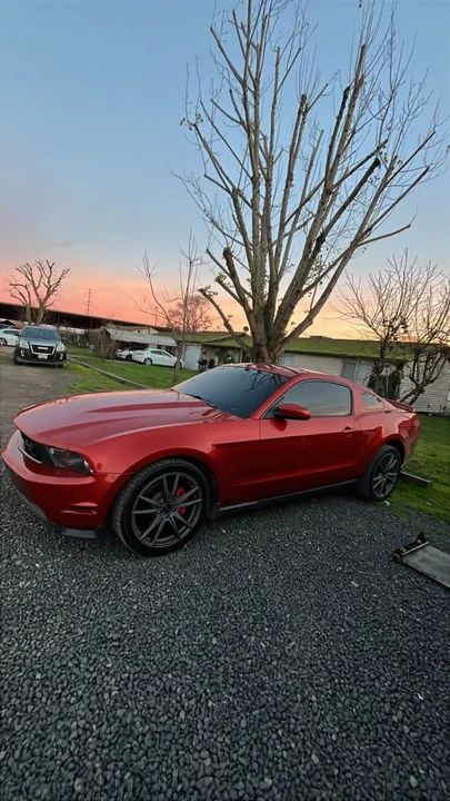 2010 Ford S197 Mustang GT - Image 4 of 10