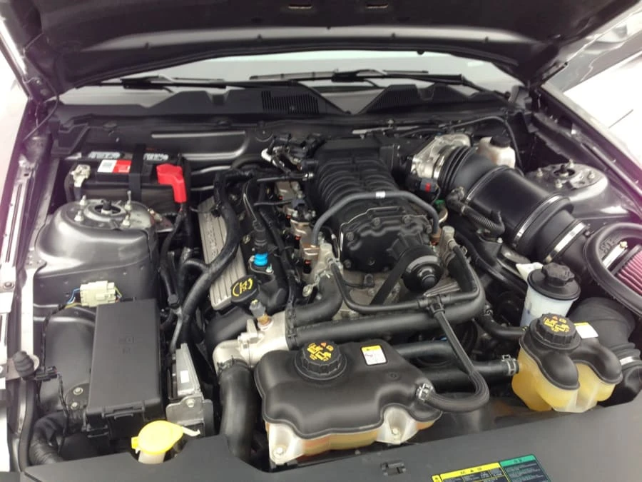 2010 Shelby GT500 - Image 4 of 7